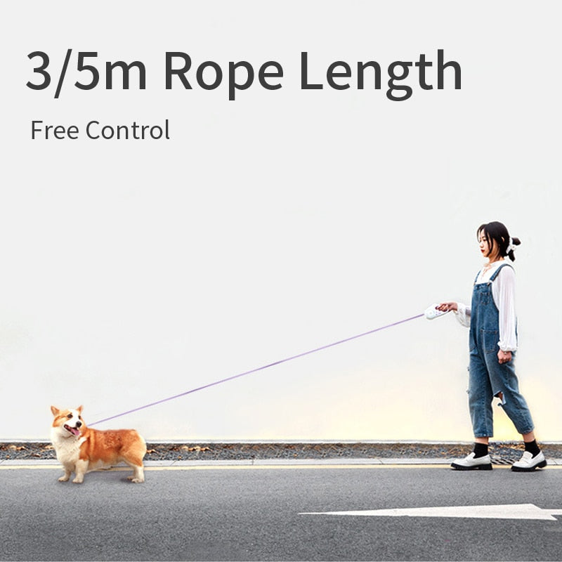 automatic retractable lighting dog leash