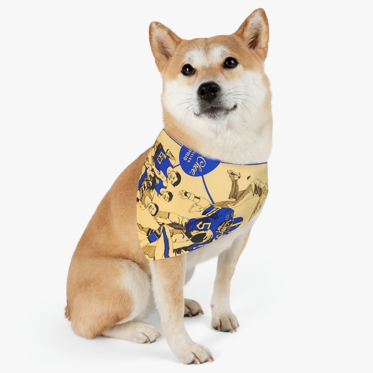 fast seller pet bandana collar - pchee