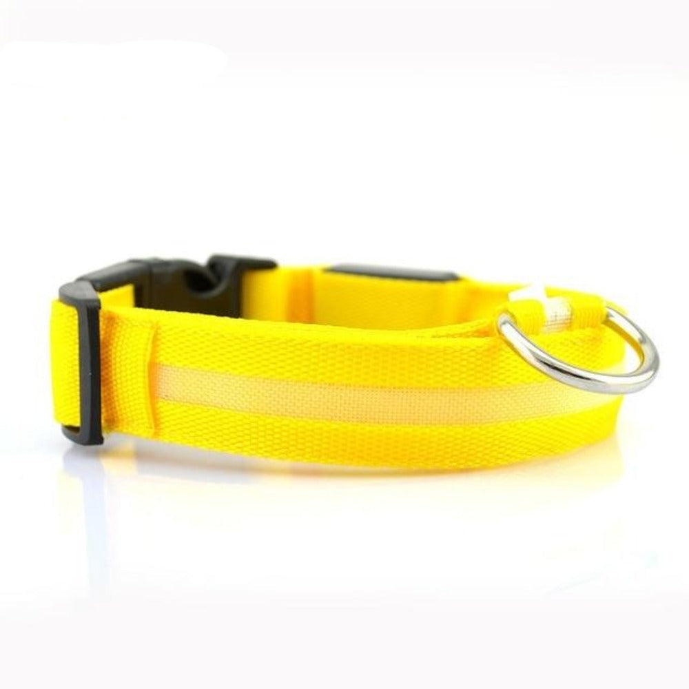 2 pcs set nylon led dog collar