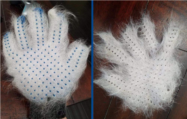 pet grooming glove