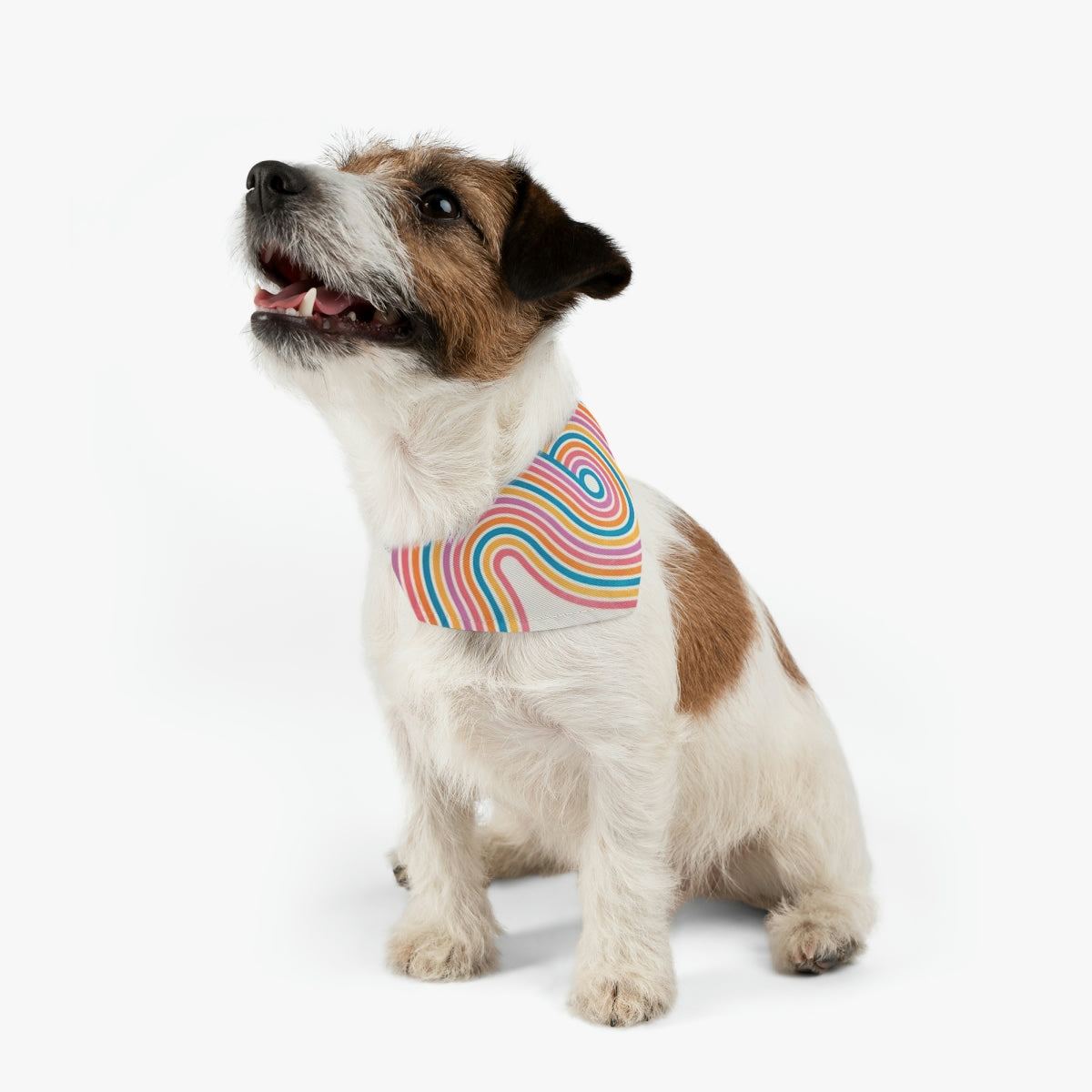 fast seller pet bandana collar - retro swirl