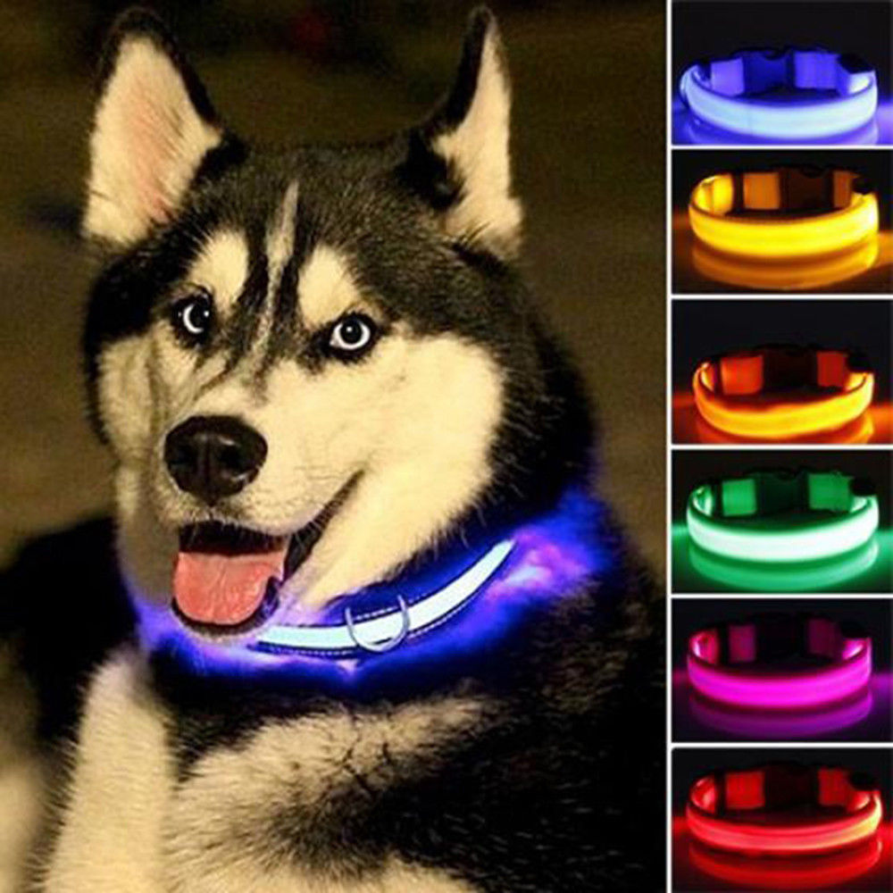 2 pcs set nylon led dog collar