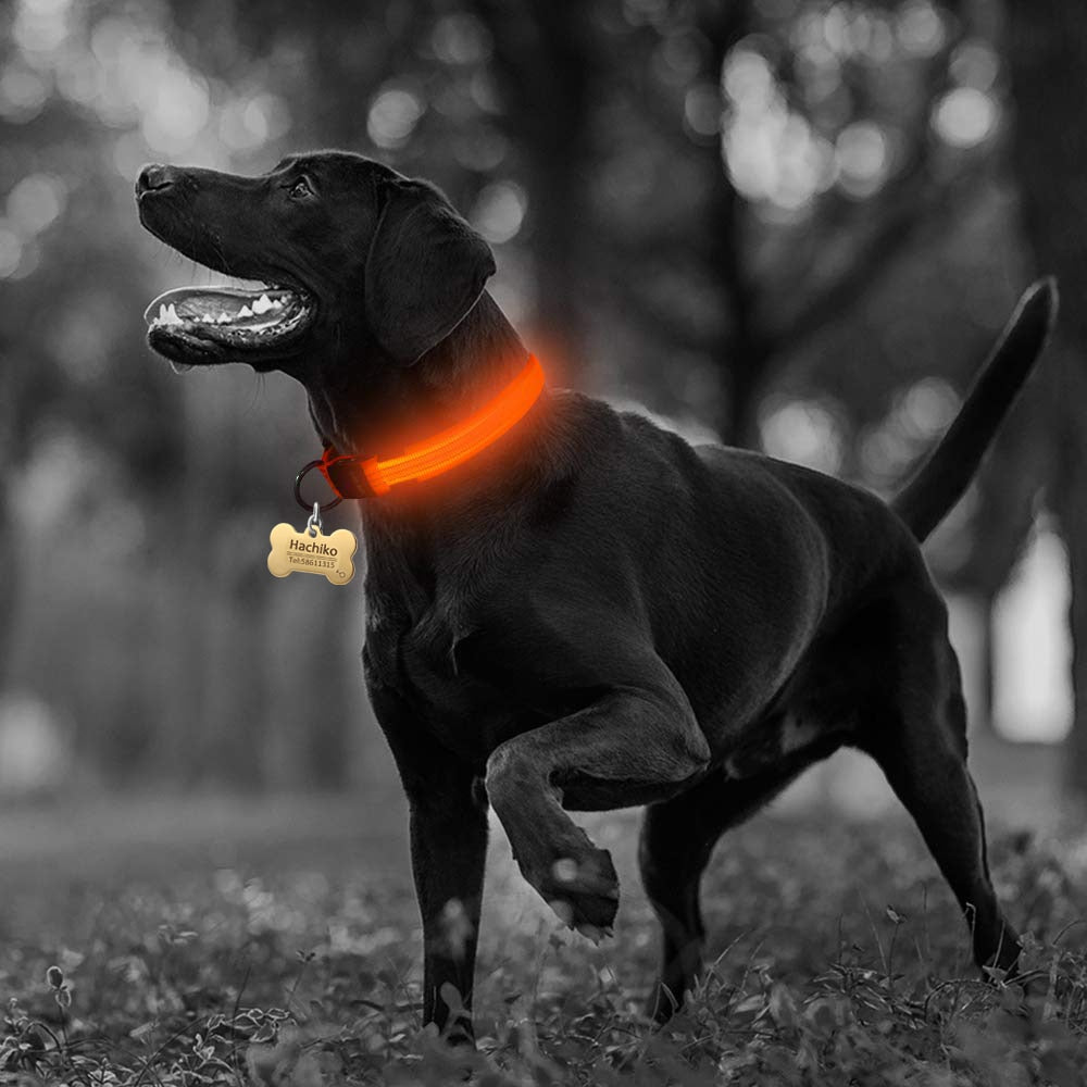 2 pcs set nylon led dog collar