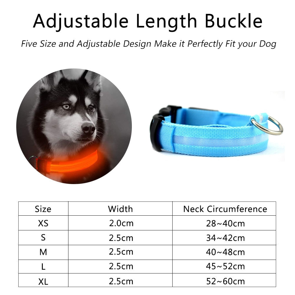 2 pcs set nylon led dog collar