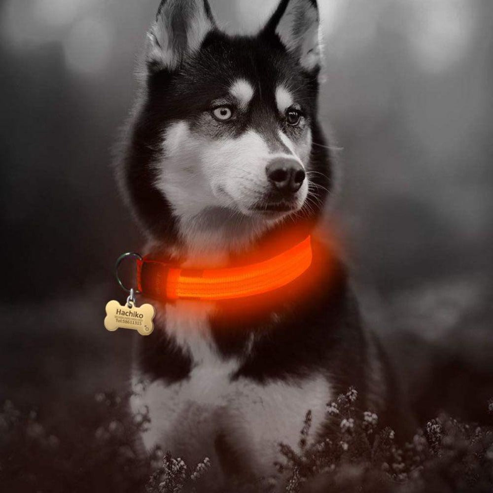 2 pcs set nylon led dog collar